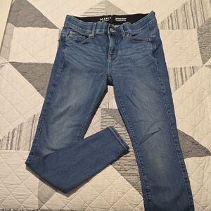 Torrid Blue Skinny Jeans Medium Wash